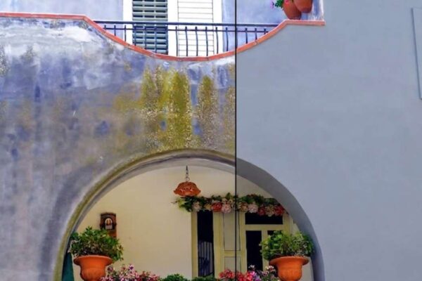 algimousse facade