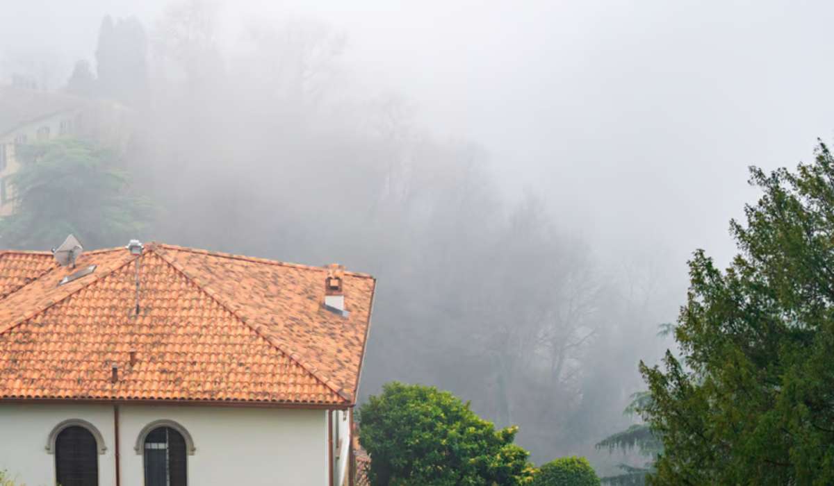 Météo anti-mousse-toiture